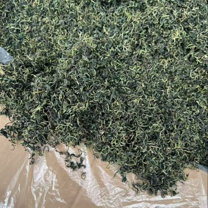 云南蒲公英茶颜色绿新货无碎泡茶新茶农产品大货批发