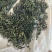 云南蒲公英茶颜色绿新货无碎泡茶新茶农产品大货批发