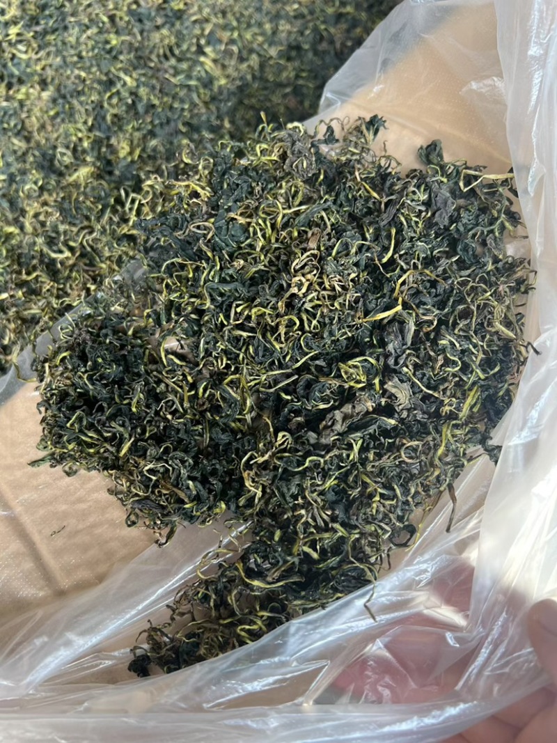 云南蒲公英茶颜色绿新货无碎泡茶新茶农产品大货批发