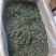 云南蒲公英茶颜色绿新货无碎泡茶新茶农产品大货批发