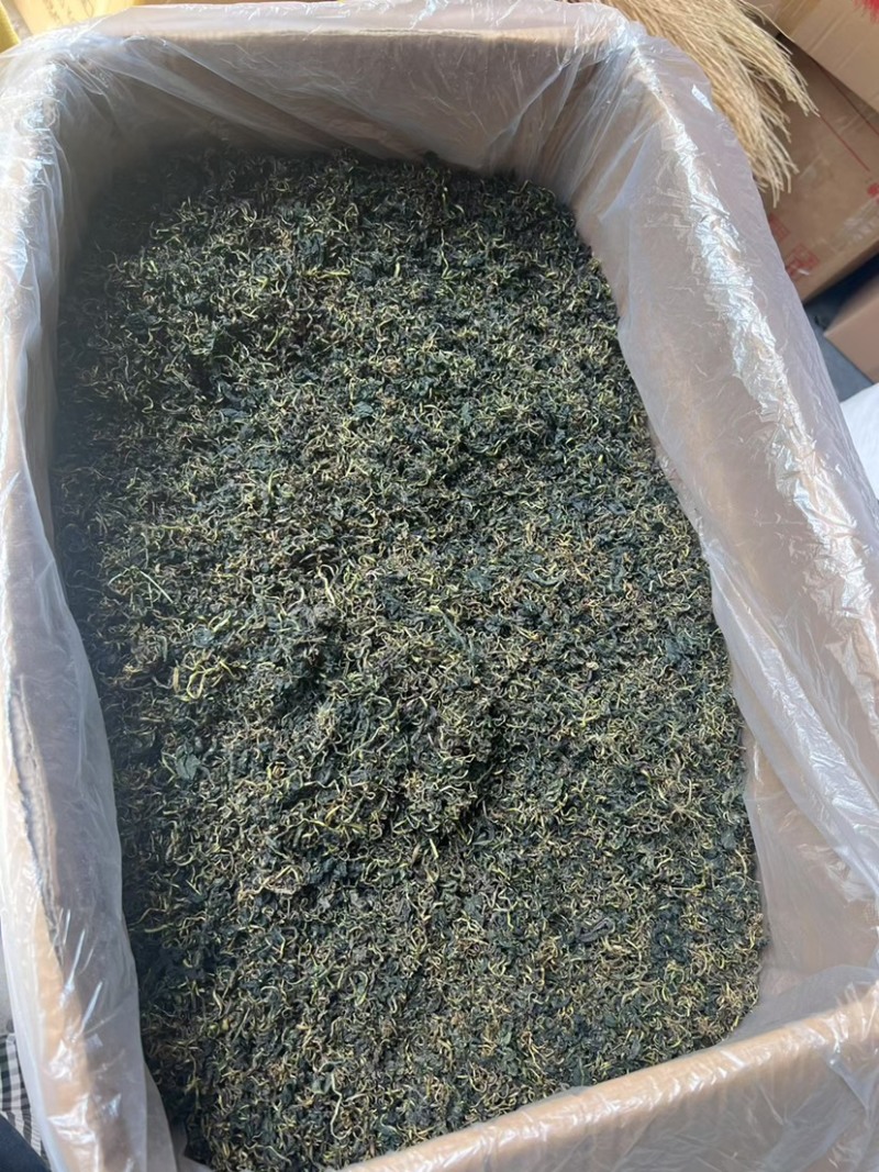 云南蒲公英茶颜色绿新货无碎泡茶新茶农产品大货批发