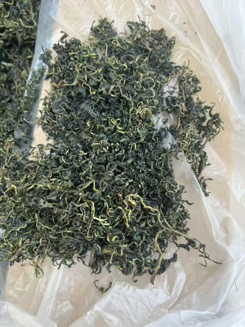 云南蒲公英茶颜色绿新货无碎泡茶新茶农产品大货批发