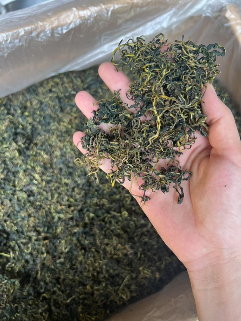 云南蒲公英茶颜色绿新货无碎泡茶新茶农产品大货批发