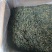 云南蒲公英茶颜色绿新货无碎泡茶新茶农产品大货批发