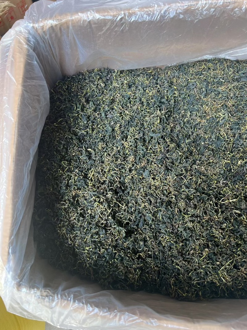 云南蒲公英茶颜色绿新货无碎泡茶新茶农产品大货批发