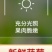 蓝莓供应，一件代发