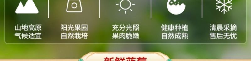蓝莓供应，一件代发