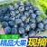 蓝莓供应，一件代发