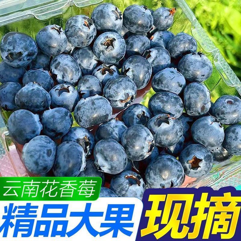 蓝莓供应，一件代发