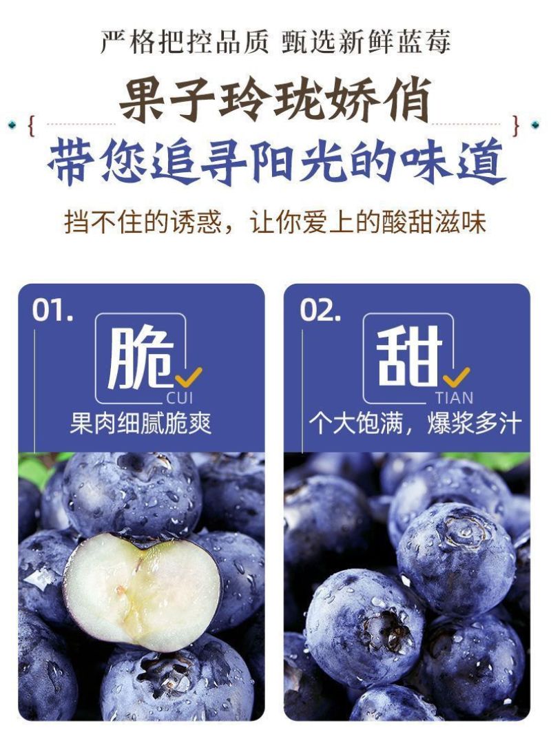 蓝莓供应，一件代发