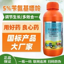 芸天丰5%苄氨基嘌呤柑橘树调节生长植物生长调节剂