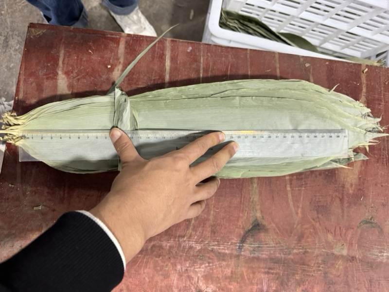 湖北野生香粽叶