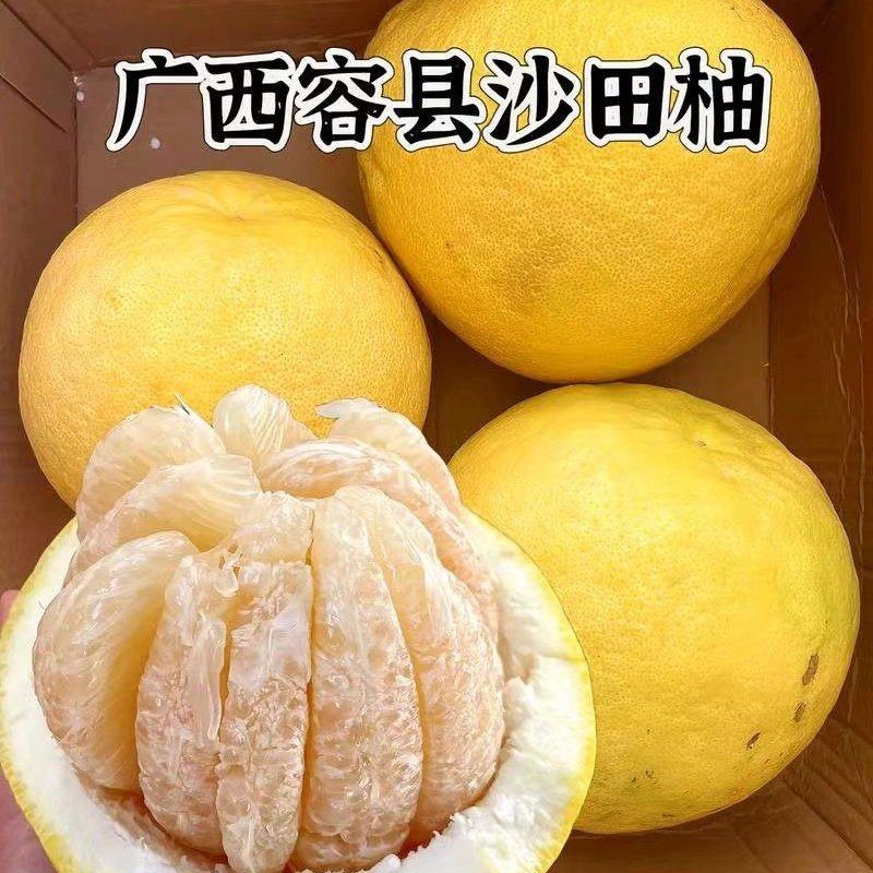 精品沙田柚大量有货原产地欢迎咨询，量大从优