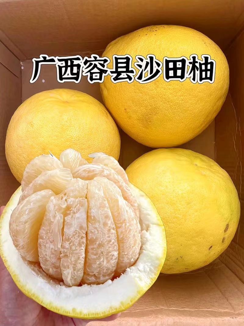 精品沙田柚大量有货原产地欢迎咨询，量大从优