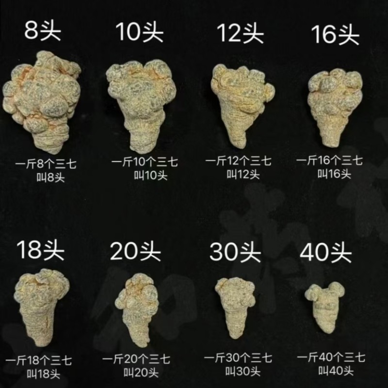 精品云南文山三七，无硫不打蜡水洗洁净三七田七批发产地直发