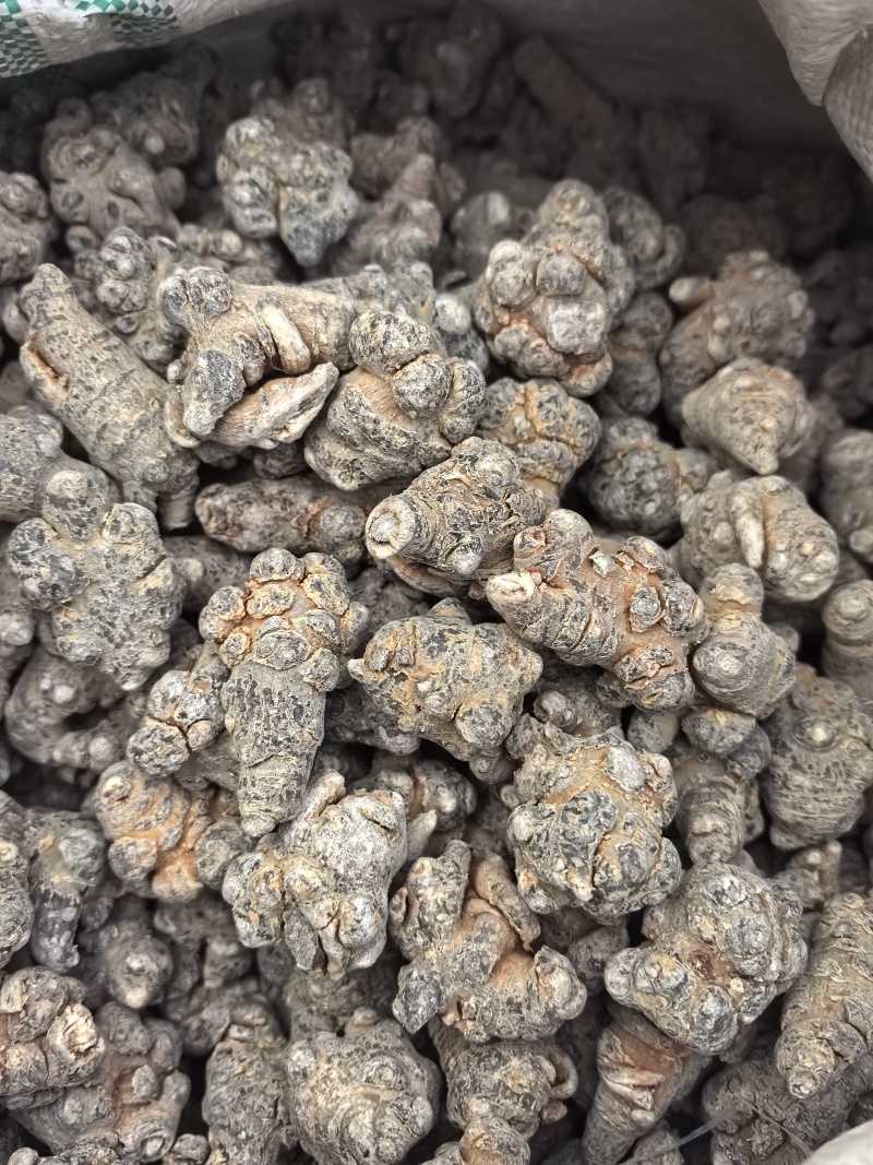 精品云南文山三七，无硫不打蜡水洗洁净三七田七批发产地直发