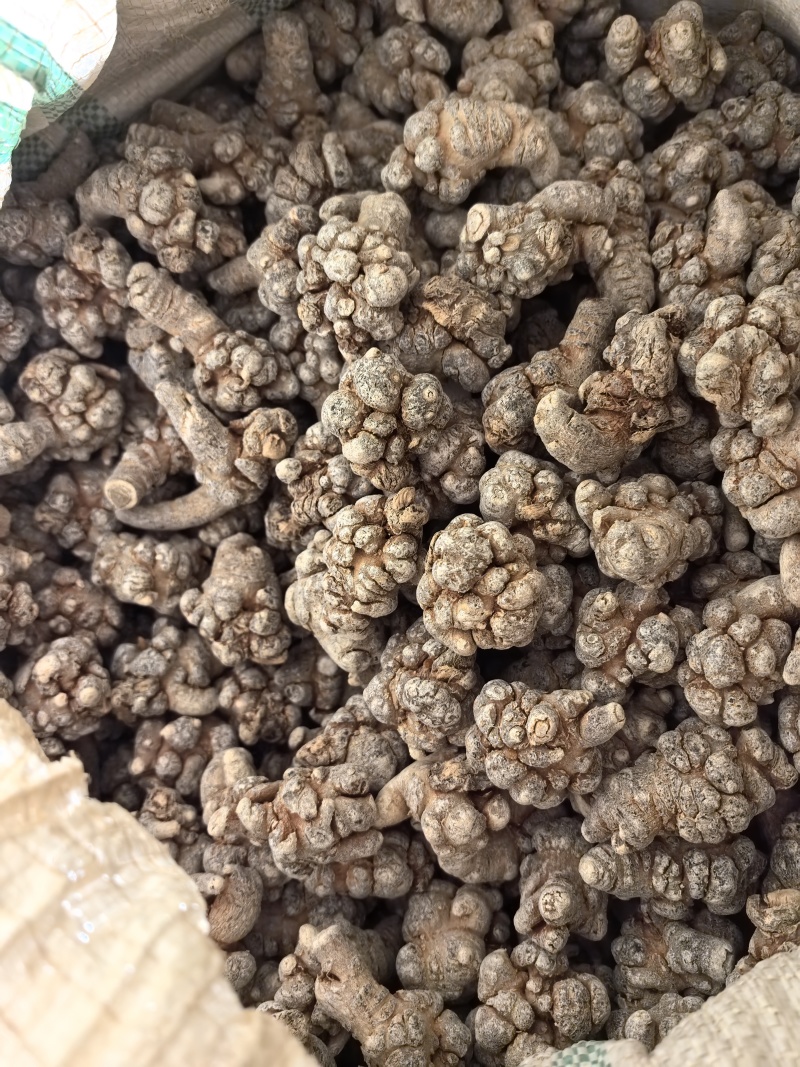 精品云南文山三七，无硫不打蜡水洗洁净三七田七批发产地直发