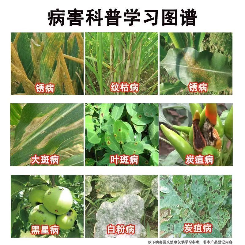 健丰苯甲丙环唑水稻纹枯病锈病白粉病炭疽病农药杀菌剂