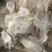 木蝴蝶野生千张纸货品均实物拍摄各类直播品类几千个品可供选择