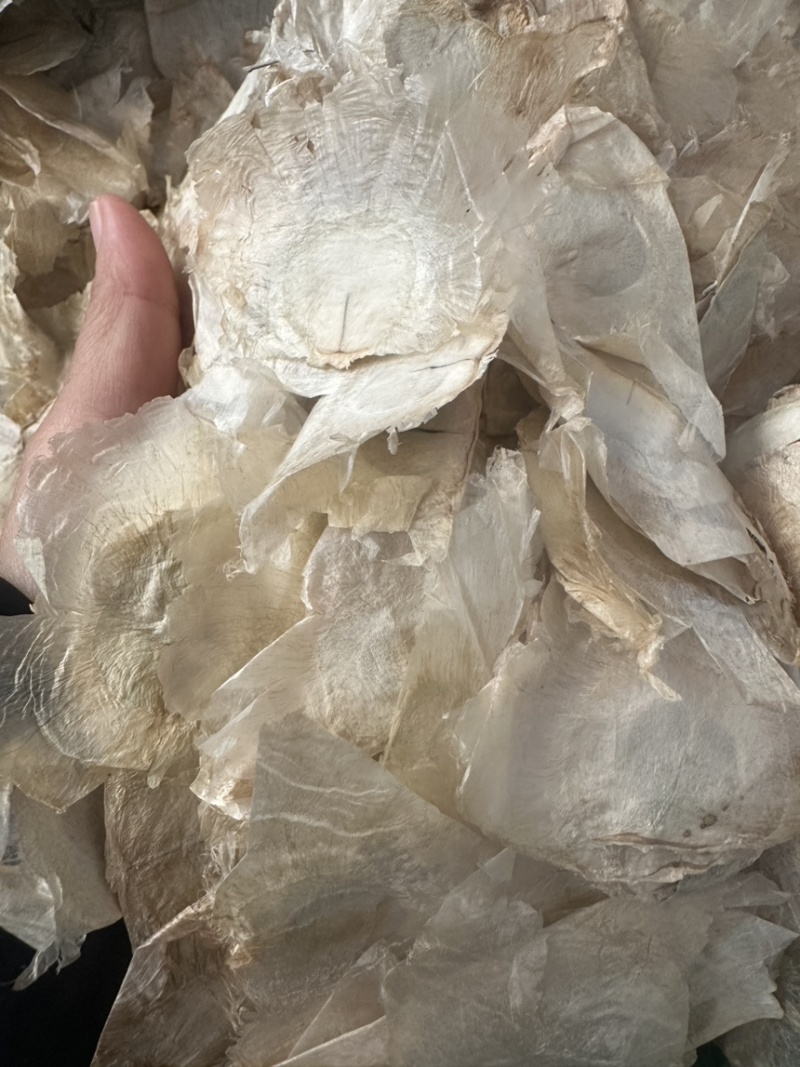 木蝴蝶野生千张纸货品均实物拍摄各类直播品类几千个品可供选择