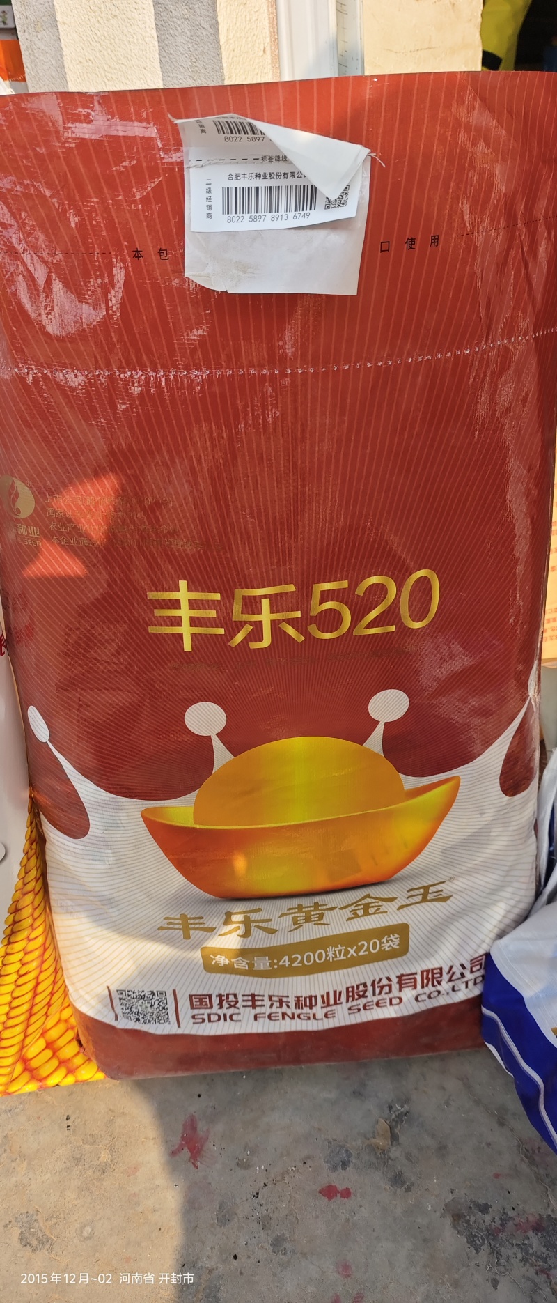 丰乐520玉米种子正品丰乐520批发量大优惠