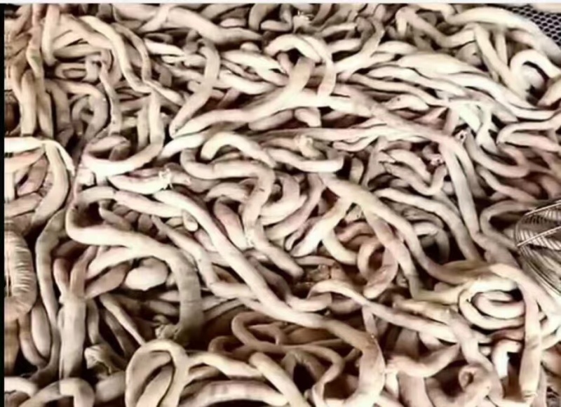 精品全熟羊杂，鲜货加工