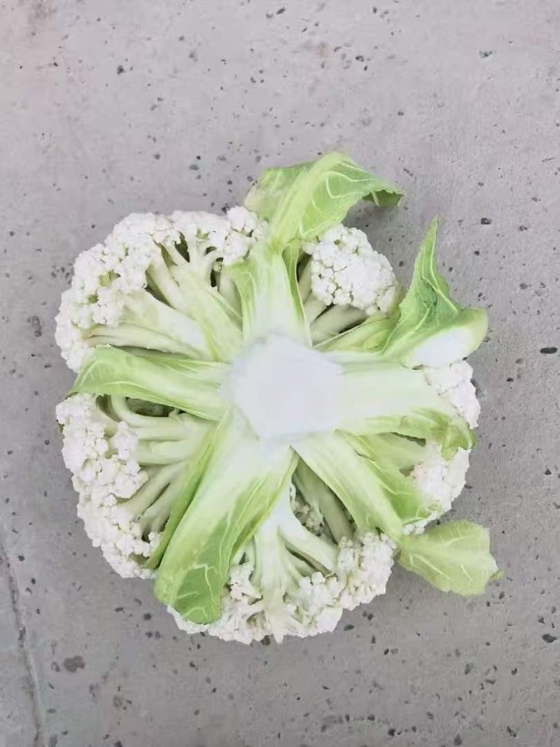 松花菜四川松花菜大量上市一手货源量大从优欢迎来电