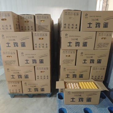 双色黑凤（粉八）土鸡蛋，大量稳定供应，品质保障，价格美丽