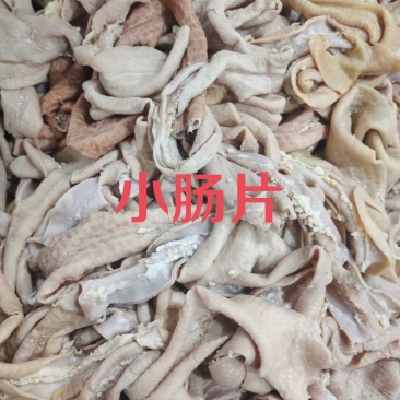 小肠片切片**