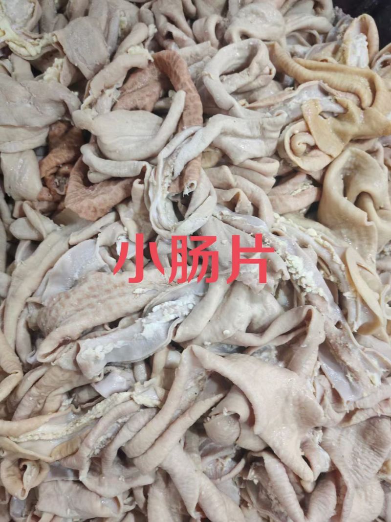 小肠片切片**