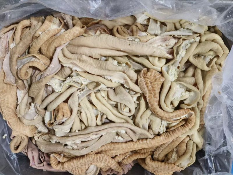 小肠片切片**