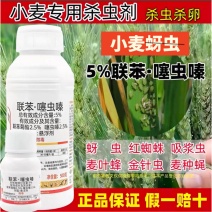 5%联苯噻虫嗪小麦专用蚜虫杀虫剂微乳剂联苯菊酯噻虫嗪