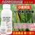 5%联苯噻虫嗪小麦专用蚜虫杀虫剂微乳剂联苯菊酯噻虫嗪