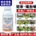 5%联苯噻虫嗪小麦专用蚜虫杀虫剂微乳剂联苯菊酯噻虫嗪
