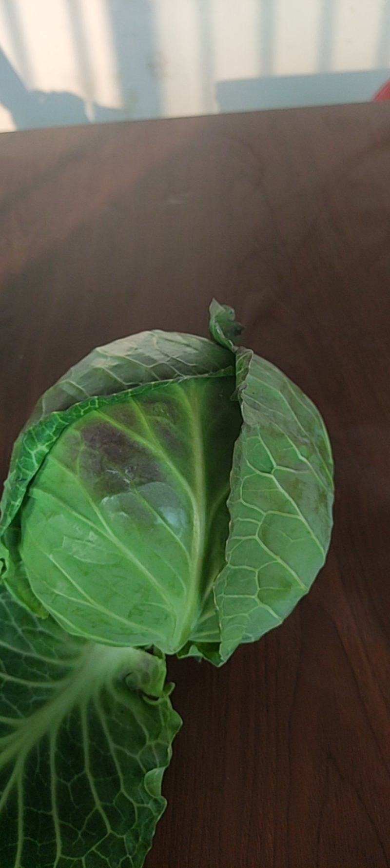 河南南阳产地直发精品小甘篮