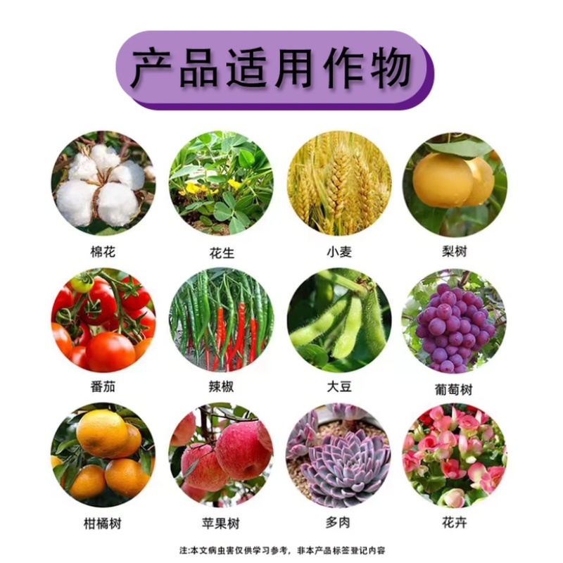 30%肟菌戊唑醇悬浮剂小麦水稻赤霉病稻瘟病