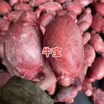 牛宝