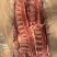 猪背骨126猪背骨195元40斤