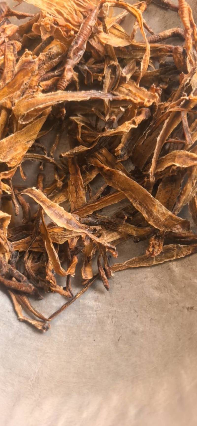《地龙》小地龙半开质量不错，价格优惠聚源药业