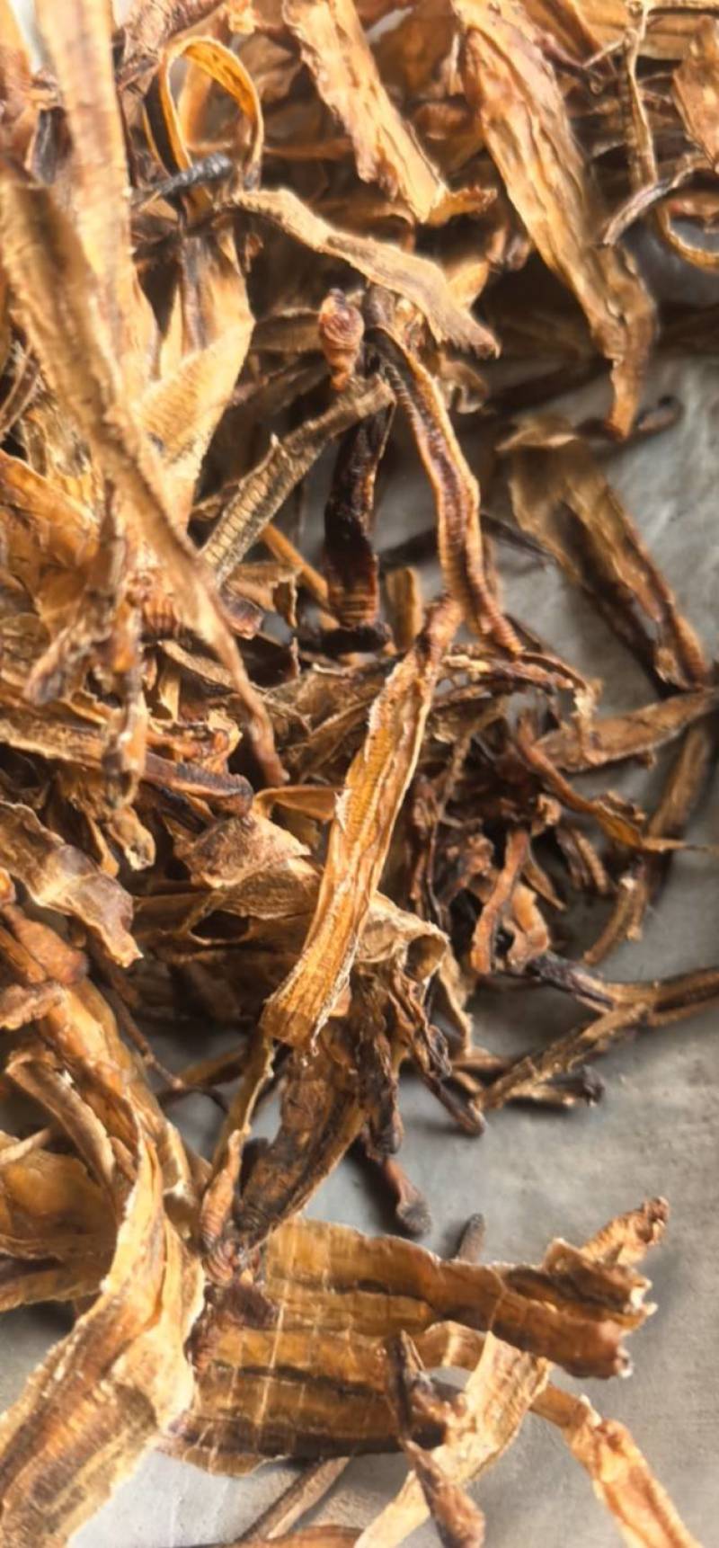 《地龙》小地龙半开质量不错，价格优惠聚源药业