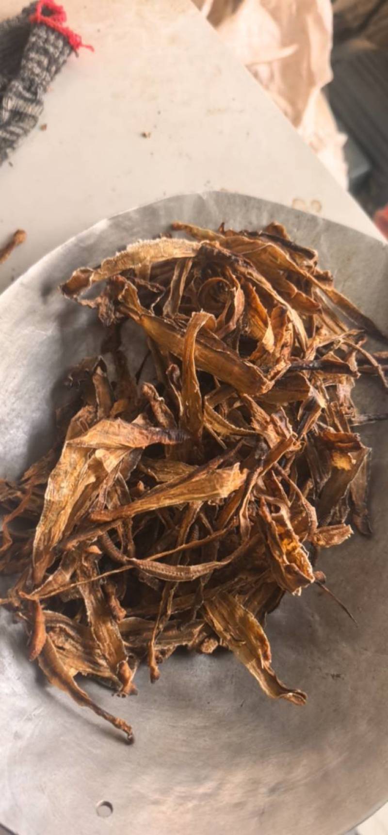 《地龙》小地龙半开质量不错，价格优惠聚源药业