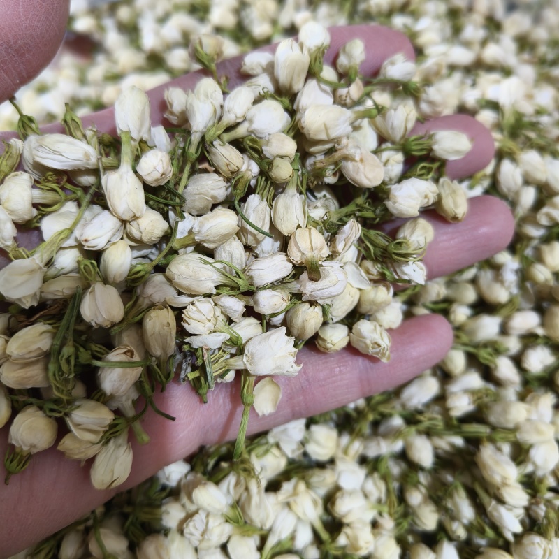 茉莉花茉莉花茶祥泰药材栈中药材批发零售实物拍摄量多从