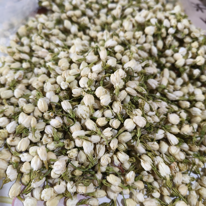 茉莉花茉莉花茶祥泰药材栈中药材批发零售实物拍摄量多从
