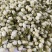 茉莉花茉莉花茶祥泰药材栈中药材批发零售实物拍摄量多从