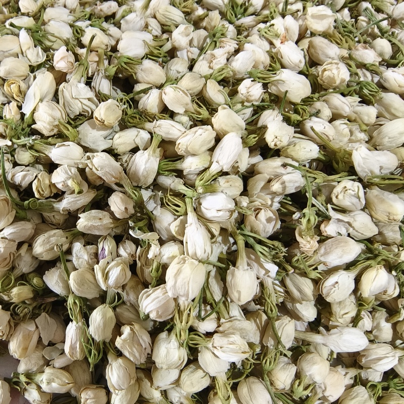 茉莉花茉莉花茶祥泰药材栈中药材批发零售实物拍摄量多从