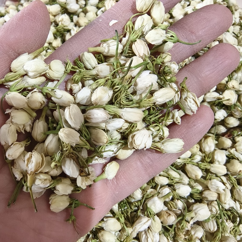 茉莉花茉莉花茶祥泰药材栈中药材批发零售实物拍摄量多从