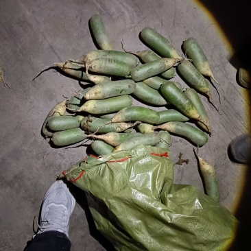 电商水果萝卜