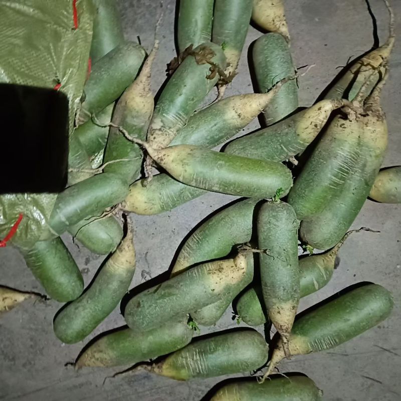 电商水果萝卜