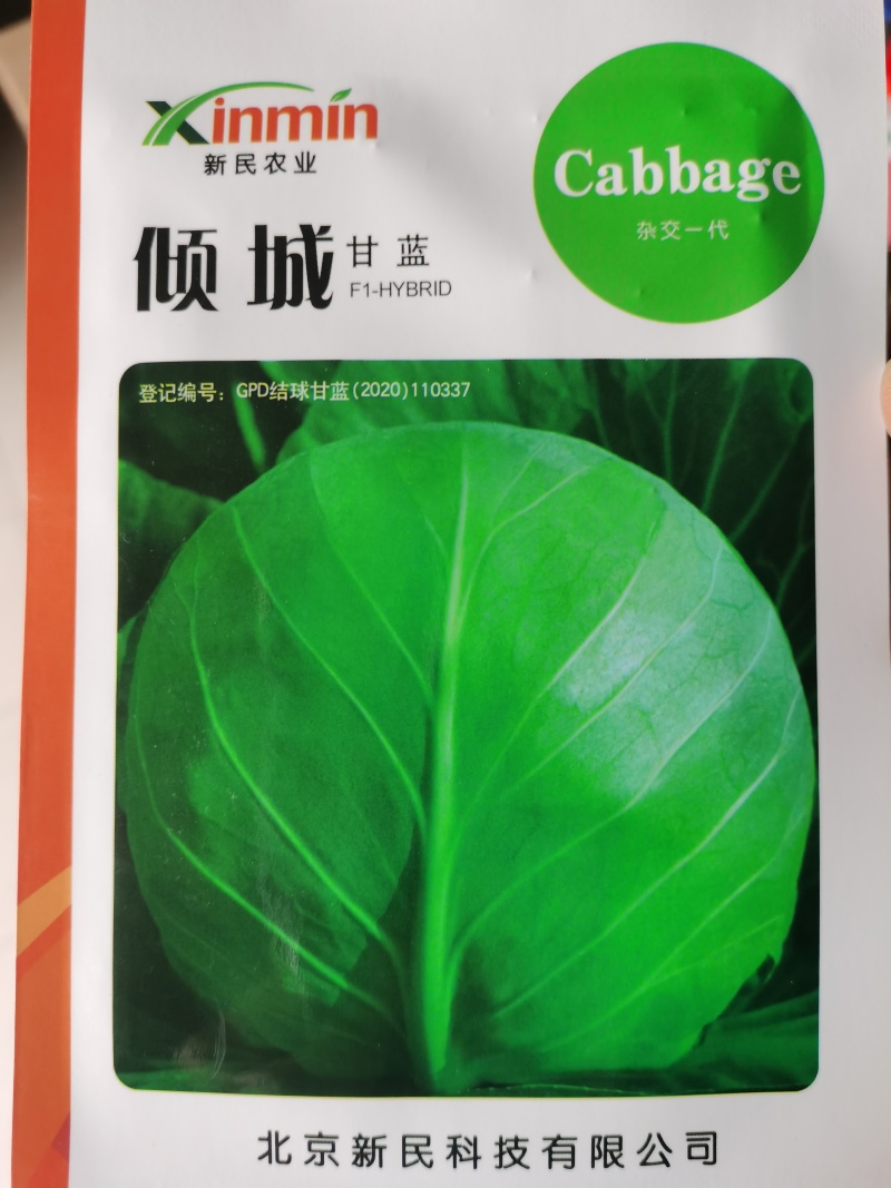 华耐春秋绿春夏秋优质甘蓝种籽君甘一号