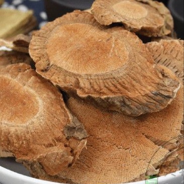 野葡萄根云南野生葡萄根正品可打粉零售兼批发